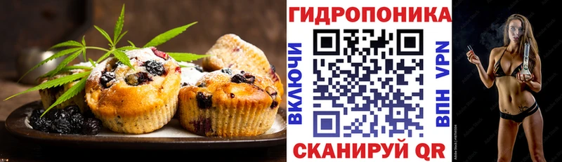 МЕГА зеркало Новочеркасск Canna-Cookies марихуана