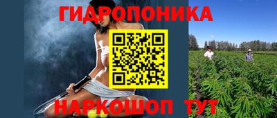 СК Славгород