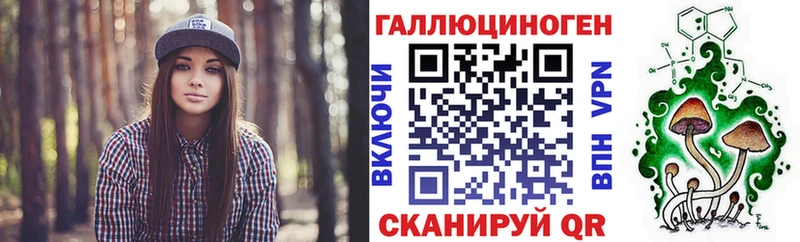где найти   Новочеркасск  Галлюциногенные грибы Psilocybine cubensis 