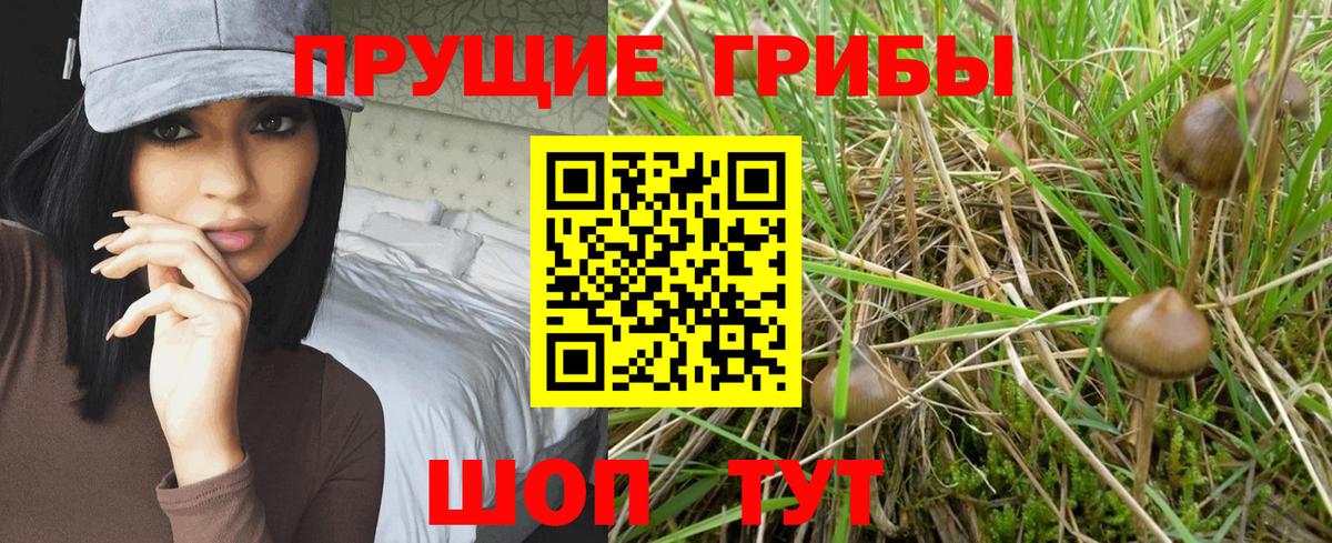 Псилоцибиновые грибы мухоморы  Вход с VPN  Новочеркасск  Галлюциногенные грибы прущие грибы 